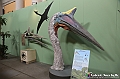 VBS_0860 - Dinosauri. Terra dei giganti